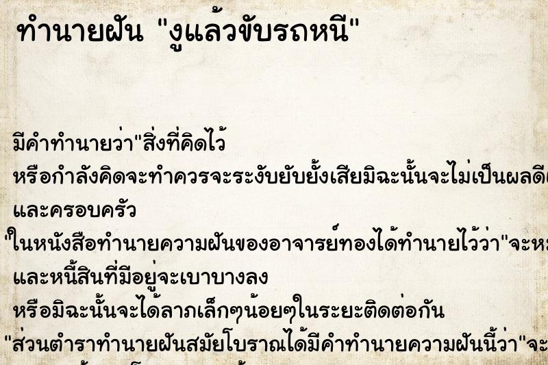 ทำนายฝัน งูแล้วขับรถหนี ทำนายฝัน งูแล้วขับรถหนี