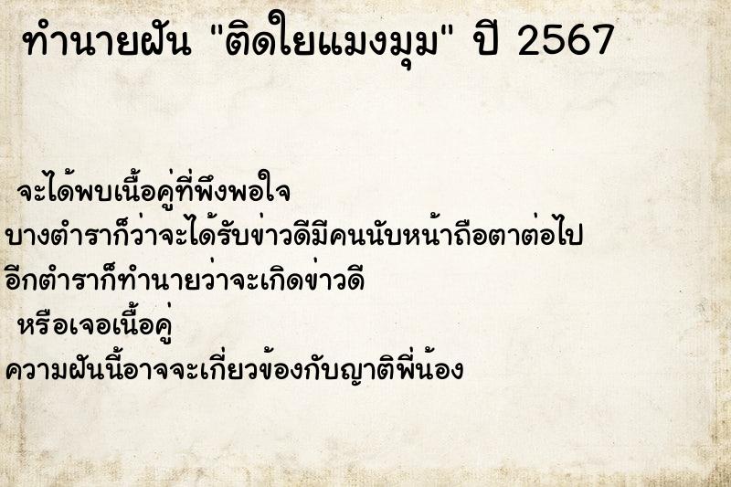 ทำนายฝัน ติดใยแมงมุม ทำนายฝัน ติดใยแมงมุม