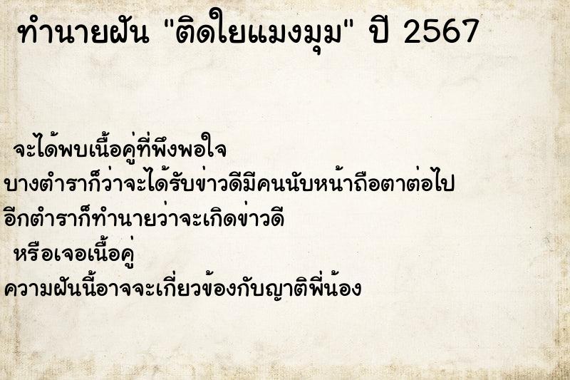 ทำนายฝัน ติดใยแมงมุม ตำราโบราณ แม่นที่สุดในโลก