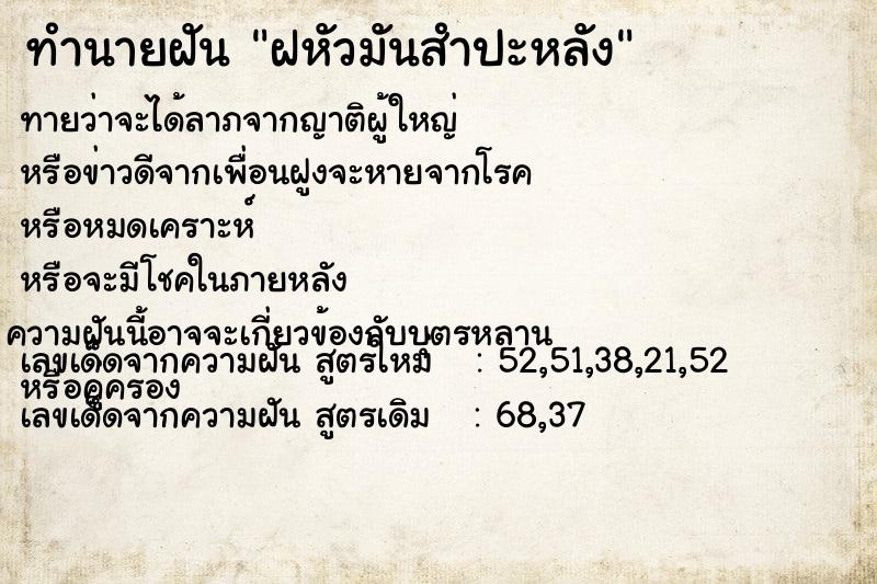 ทำนายฝัน ฝหัวมันสำปะหลัง