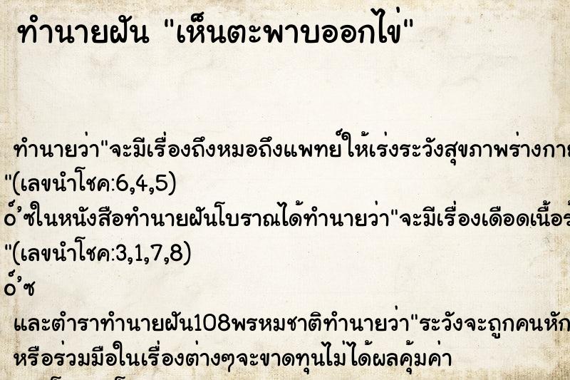 ทำนายฝันเห็นตะพาบออกไข่ ทำนายฝันทำนายฝันเห็นตะพาบออกไข่
