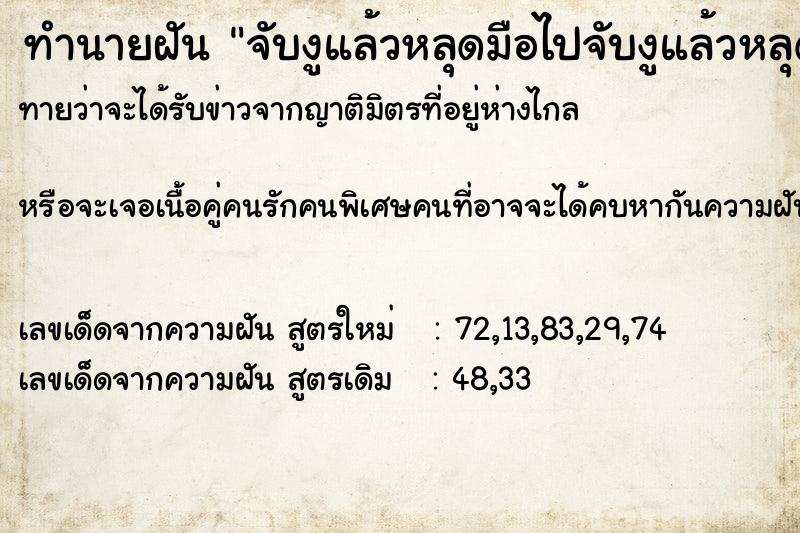 ทำนายฝัน จับงูแล้วหลุดมือไปจับงูแล้วหลุดมือไป ทำนายฝัน จับงูแล้วหลุดมือไปจับงูแล้วหลุดมือไป