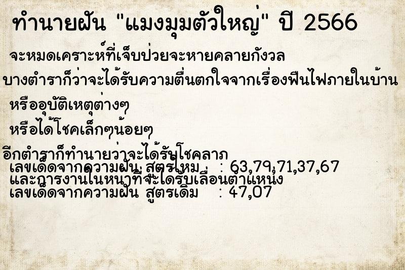 ทำนายฝัน แมงมุมตัวใหญ่ ทำนายฝัน แมงมุมตัวใหญ่
