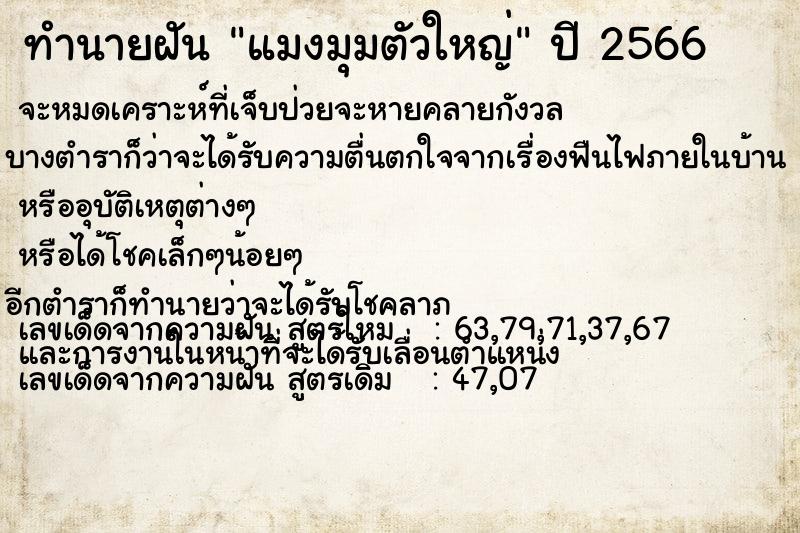 ทำนายฝัน แมงมุมตัวใหญ่ ตำราโบราณ แม่นที่สุดในโลก