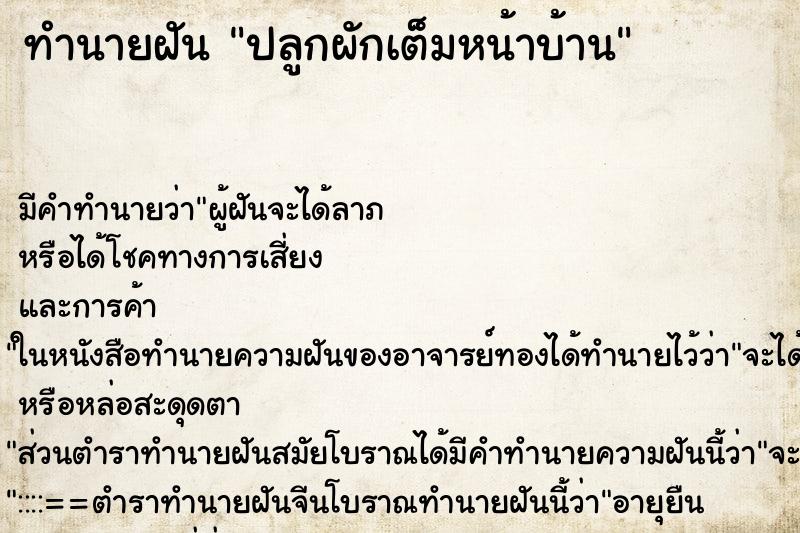 ทำนายฝันทำนายฝันปลูกผักเต็มหน้าบ้าน