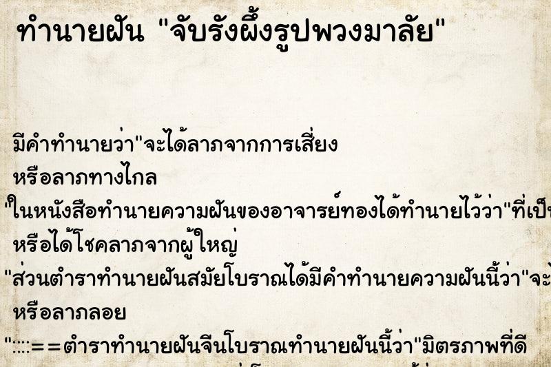 ทำนายฝัน จับรังผึ้งรูปพวงมาลัย ทำนายฝัน จับรังผึ้งรูปพวงมาลัย