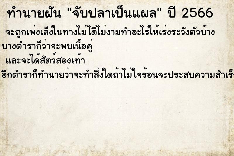 ทำนายฝัน จับปลาเป็นแผล ทำนายฝัน จับปลาเป็นแผล