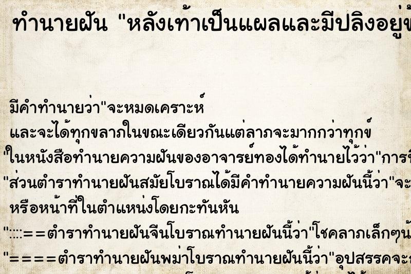 ทำนายฝันทำนายฝันหลังเท้าเป็นแผลและมีปลิงอยู่ข้างในเยอะมาก