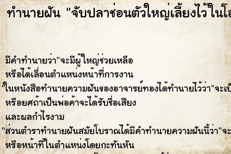 ทำนายฝันจับปลาช่อนตัวใหญ่เลี้ยงไว้ในโอ่งที่บ้านแม่ ทำนายฝันทำนายฝันจับปลาช่อนตัวใหญ่เลี้ยงไว้ในโอ่งที่บ้านแม่