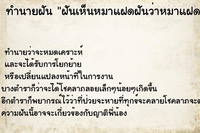 ทำนายฝันทำนายฝันฝันเห็นหมาแฝดฝันว่าหมาแฝด
