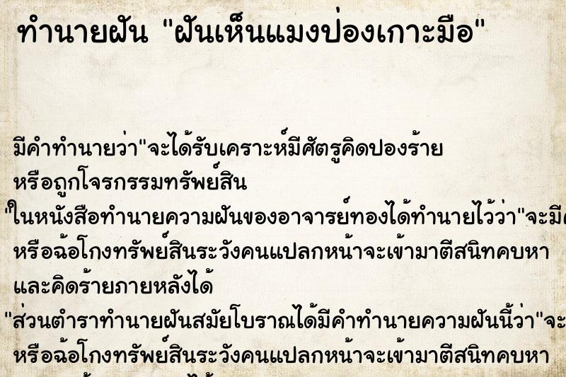 ทำนายฝัน ฝันเห็นแมงป่องเกาะมือ ตำราโบราณ แม่นที่สุดในโลก