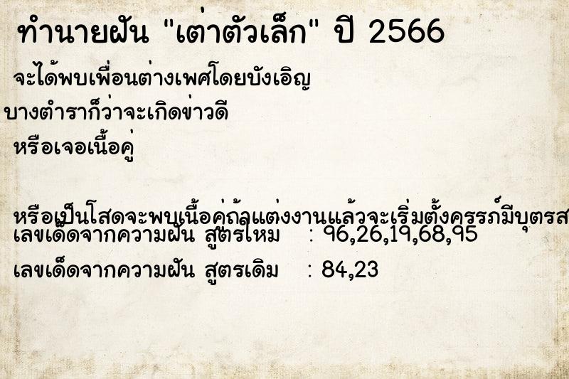 ทำนายฝัน เต่าตัวเล็ก ทำนายฝัน เต่าตัวเล็ก