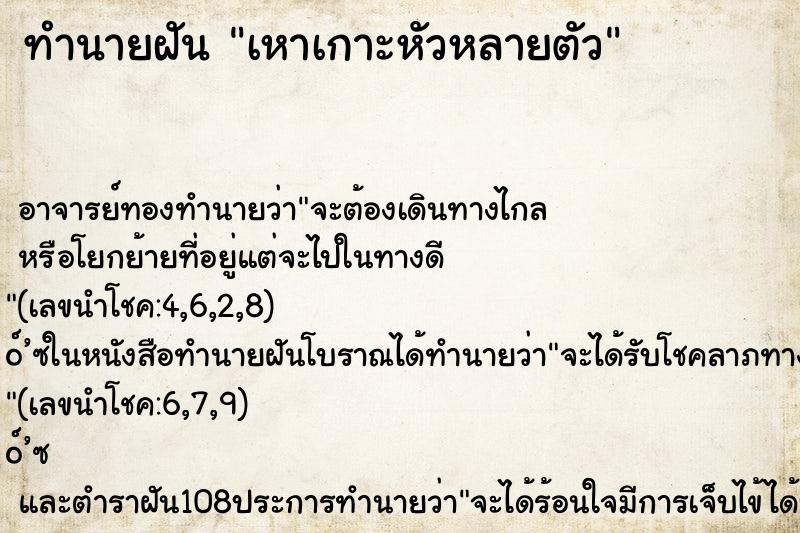 ทำนายฝันทำนายฝันเหาเกาะหัวหลายตัว
