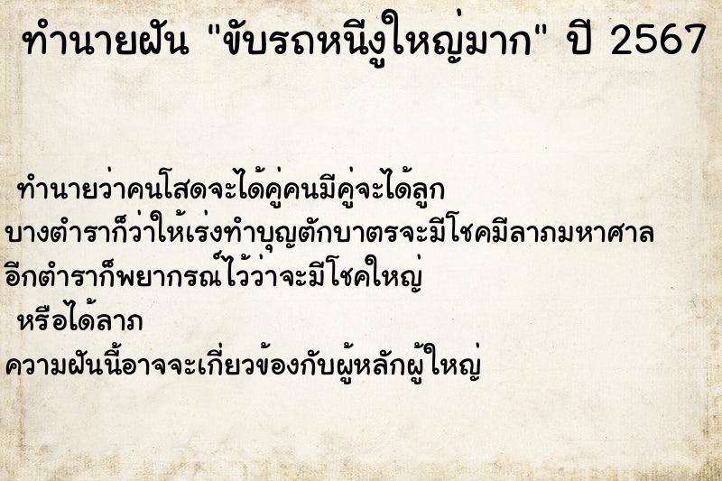 ทำนายฝัน ขับรถหนีงูใหญ่มาก ทำนายฝัน ขับรถหนีงูใหญ่มาก