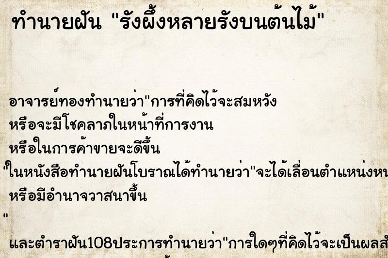 ทำนายฝัน รังผึ้งหลายรังบนต้นไม้