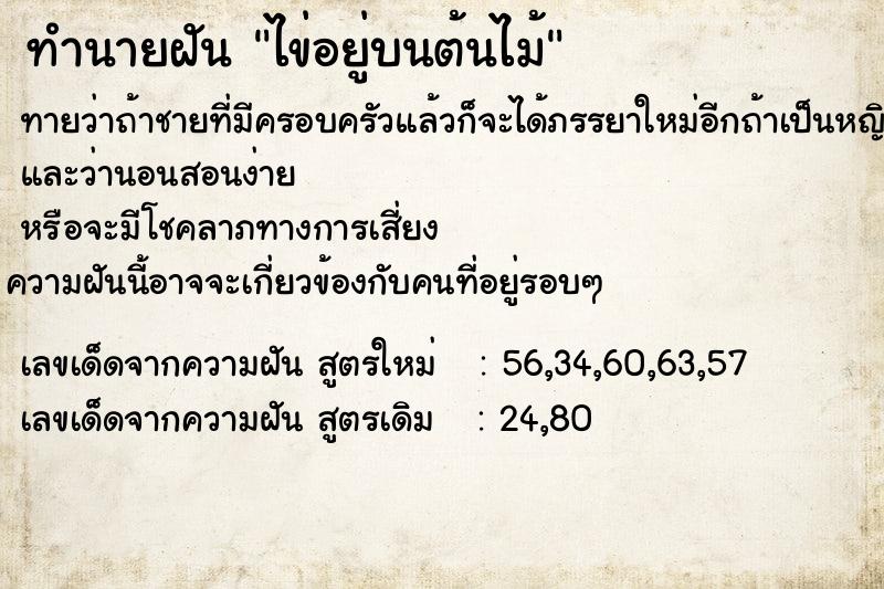 ทำนายฝัน ไข่อยู่บนต้นไม้ ทำนายฝัน ไข่อยู่บนต้นไม้