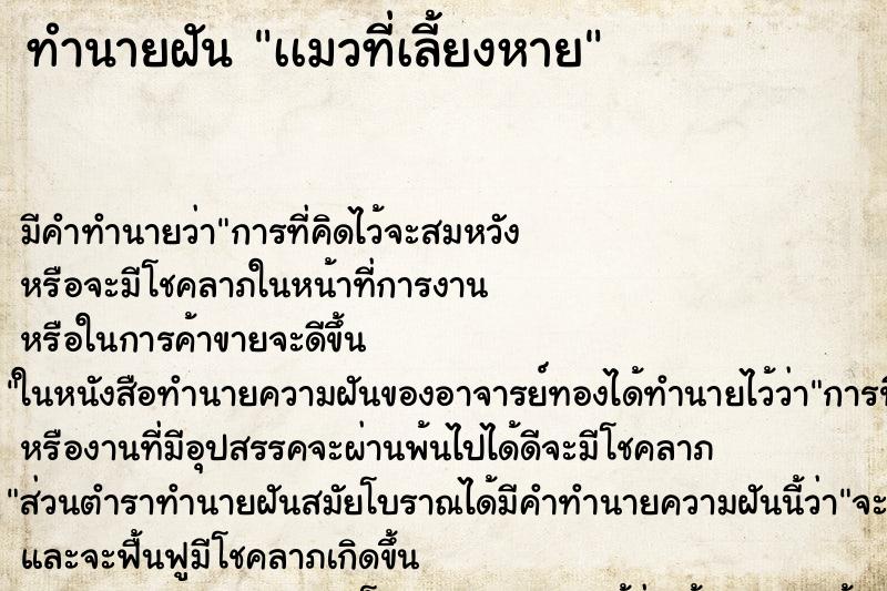 ทำนายฝันเเมวที่เลี้ยงหาย ทำนายฝันทำนายฝันเเมวที่เลี้ยงหาย