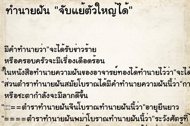 ทำนายฝัน จับแย้ตัวใหญ่ได้ ทำนายฝัน จับแย้ตัวใหญ่ได้