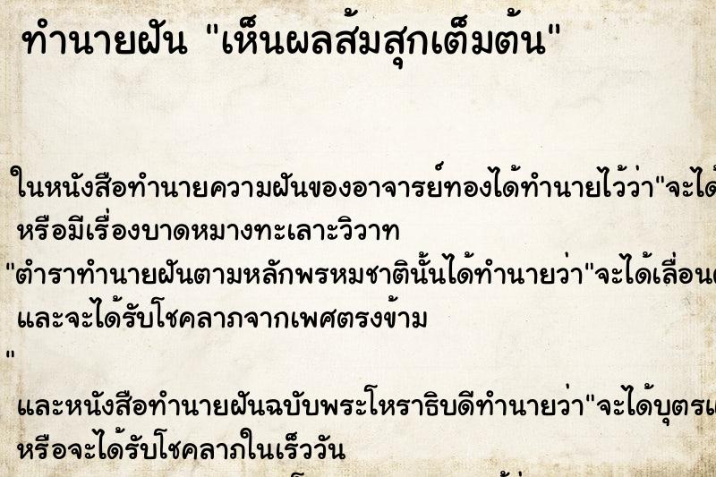 ทำนายฝันเห็นผลส้มสุกเต็มต้น ทำนายฝันทำนายฝันเห็นผลส้มสุกเต็มต้น
