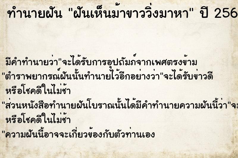 ทำนายฝัน ฝันเห็นม้าขาววิ่งมาหา ทำนายฝัน ฝันเห็นม้าขาววิ่งมาหา