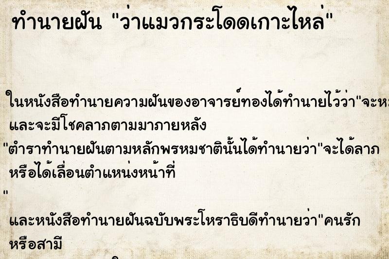ทำนายฝันทำนายฝันว่าแมวกระโดดเกาะไหล่