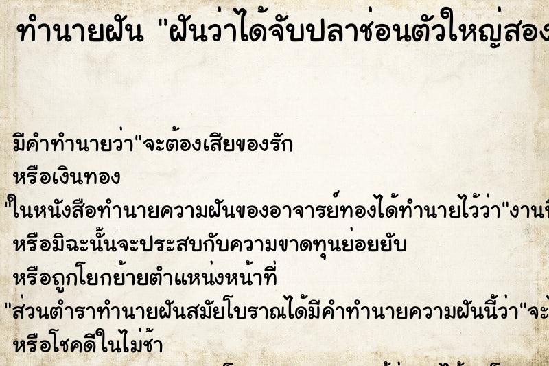 ทำนายฝันฝันว่าได้จับปลาช่อนตัวใหญ่สองมือตัวหนึ่ง ทำนายฝันทำนายฝันฝันว่าได้จับปลาช่อนตัวใหญ่สองมือตัวหนึ่ง