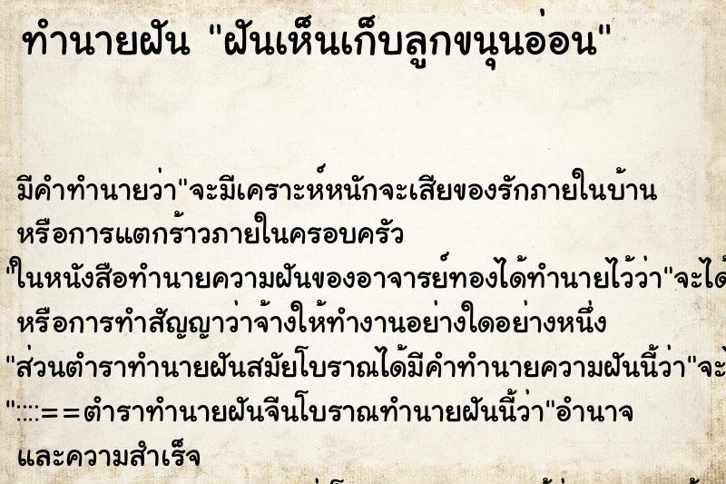 ทำนายฝัน ฝันเห็นเก็บลูกขนุนอ่อน ทำนายฝัน ฝันเห็นเก็บลูกขนุนอ่อน