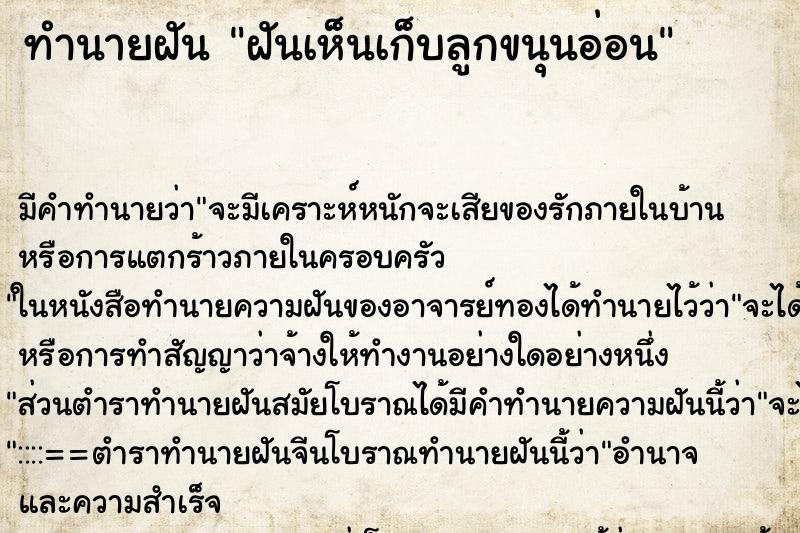 ทำนายฝัน ฝันเห็นเก็บลูกขนุนอ่อน ตำราโบราณ แม่นที่สุดในโลก