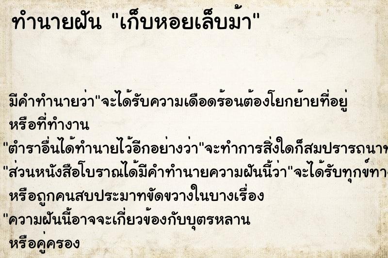 ทำนายฝันทำนายฝันเก็บหอยเล็บม้า