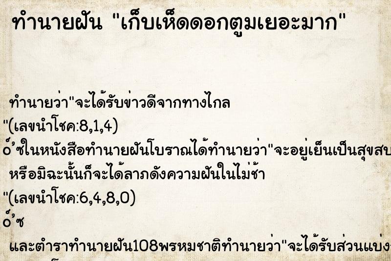 ทำนายฝัน เก็บเห็ดดอกตูมเยอะมาก