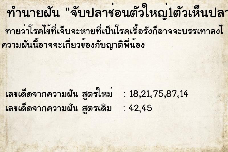 ทำนายฝัน จับปลาช่อนตัวใหญ่1ตัวเห็นปลาช่อนตัวเล็กหลายตัว ทำนายฝัน จับปลาช่อนตัวใหญ่1ตัวเห็นปลาช่อนตัวเล็กหลายตัว