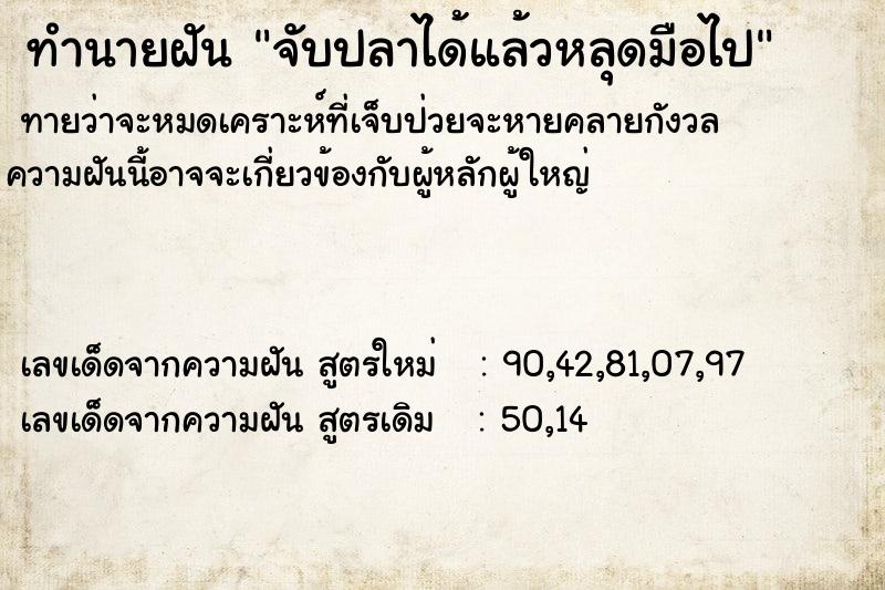 ทำนายฝันจับปลาได้แล้วหลุดมือไป ทำนายฝันทำนายฝันจับปลาได้แล้วหลุดมือไป