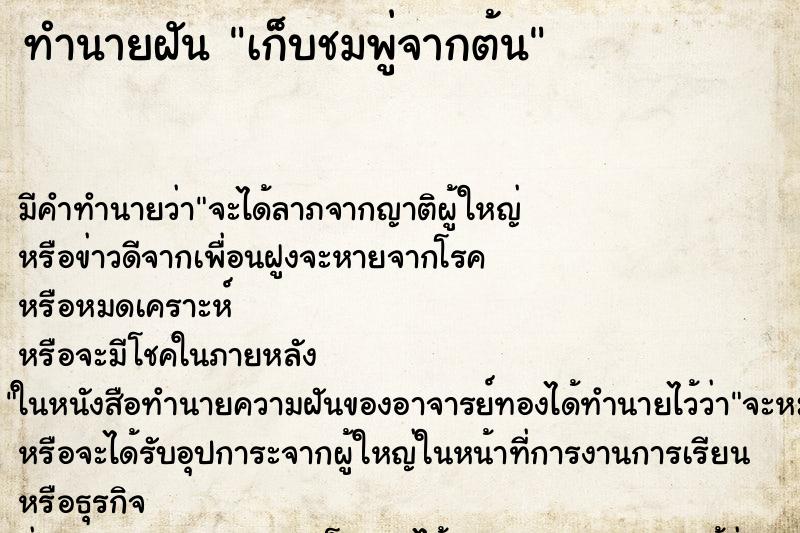 ทำนายฝัน เก็บชมพู่จากต้น ทำนายฝัน เก็บชมพู่จากต้น