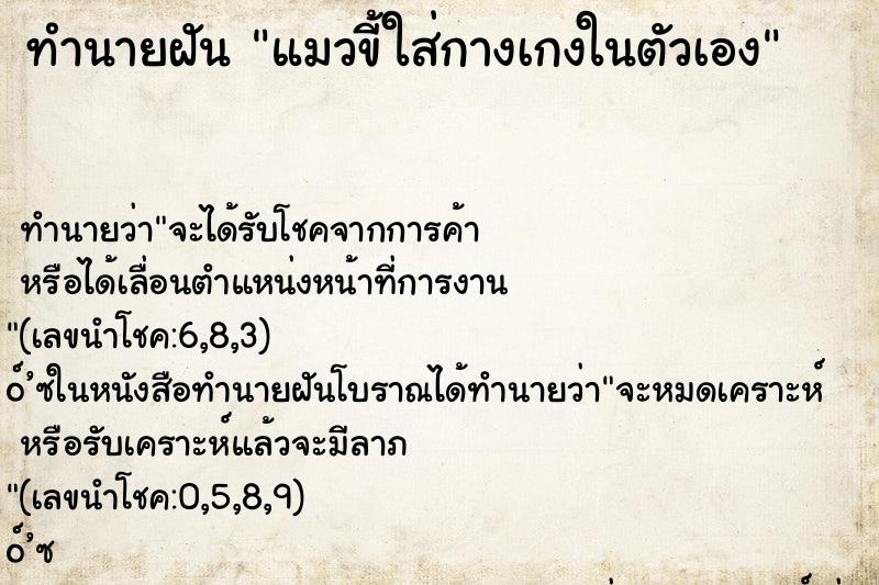 ทำนายฝันทำนายฝันแมวขี้ใส่กางเกงในตัวเอง