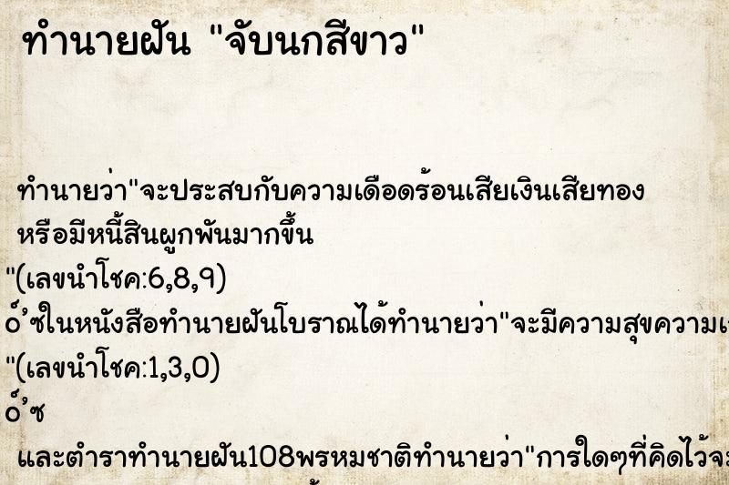 ทำนายฝัน จับนกสีขาว ทำนายฝัน จับนกสีขาว