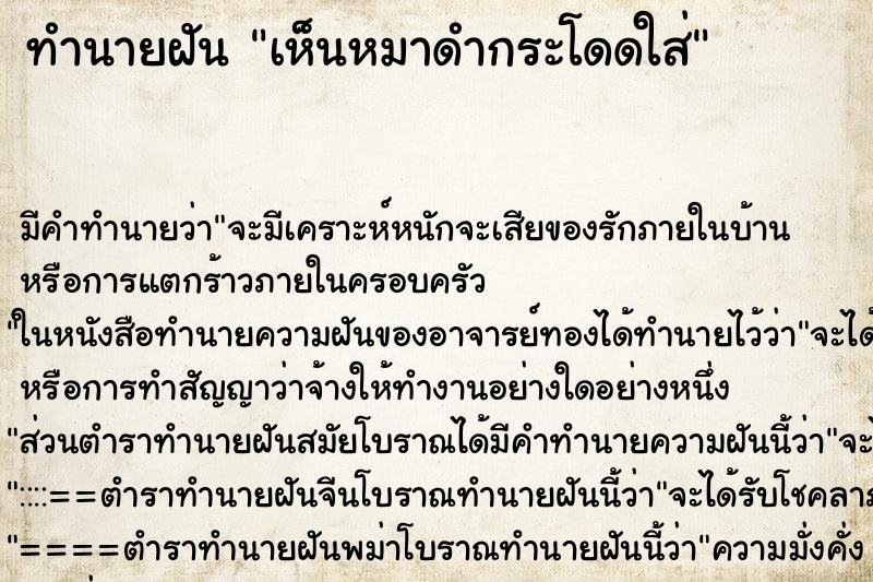 ทำนายฝัน เห็นหมาดำกระโดดใส่ ทำนายฝัน เห็นหมาดำกระโดดใส่