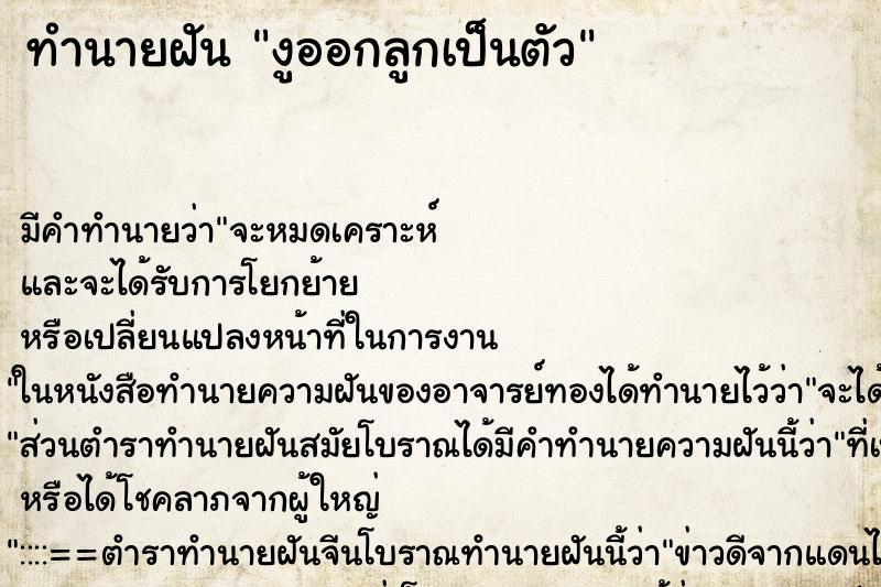 ทำนายฝัน งูออกลูกเป็นตัว ตำราโบราณ แม่นที่สุดในโลก