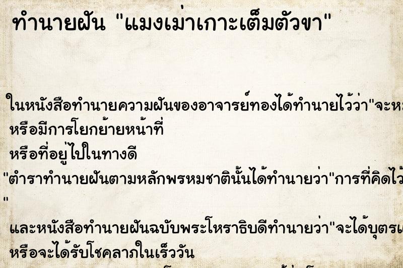 ทำนายฝันแมงเม่าเกาะเต็มตัวขา ทำนายฝันทำนายฝันแมงเม่าเกาะเต็มตัวขา