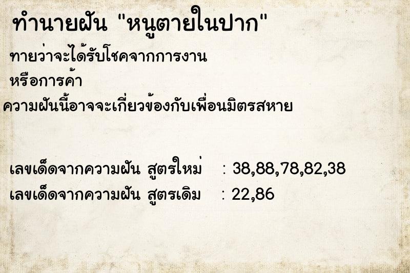 ทำนายฝัน หนูตายในปาก ทำนายฝัน หนูตายในปาก