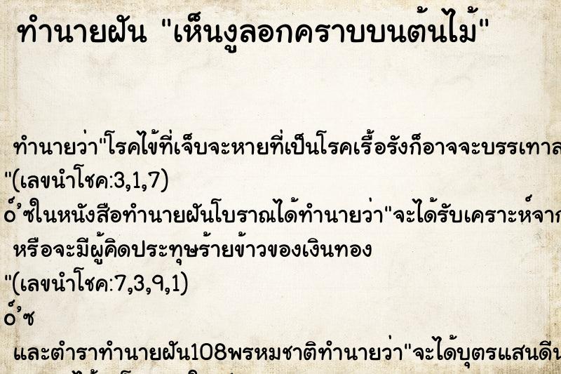 ทำนายฝันทำนายฝันเห็นงูลอกคราบบนต้นไม้