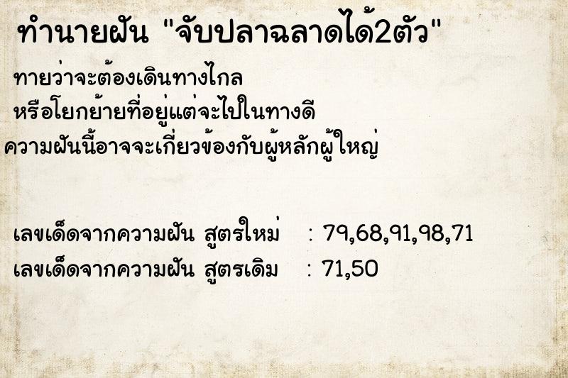ทำนายฝันจับปลาฉลาดได้2ตัว ทำนายฝันทำนายฝันจับปลาฉลาดได้2ตัว