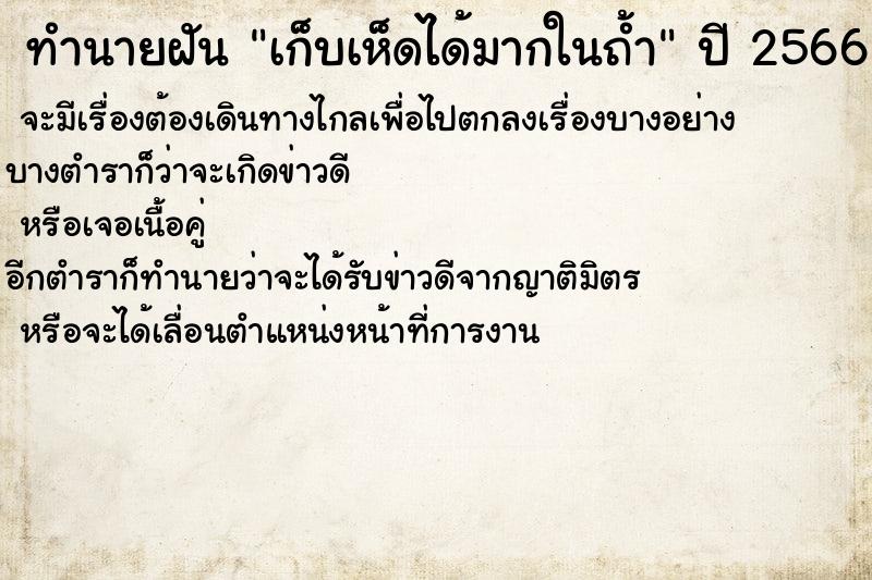 ทำนายฝันเก็บเห็ดได้มากในถ้ำ ทำนายฝันทำนายฝันเก็บเห็ดได้มากในถ้ำ