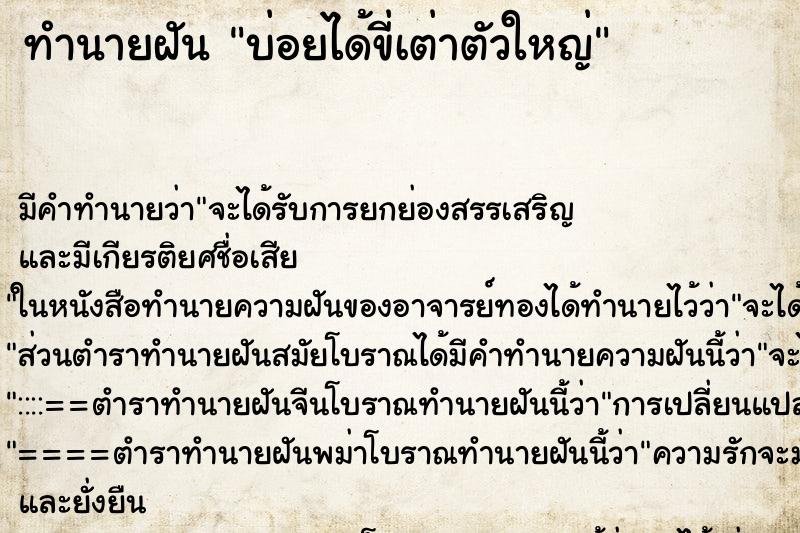 ทำนายฝัน บ่อยได้ขี่เต่าตัวใหญ่ ทำนายฝัน บ่อยได้ขี่เต่าตัวใหญ่