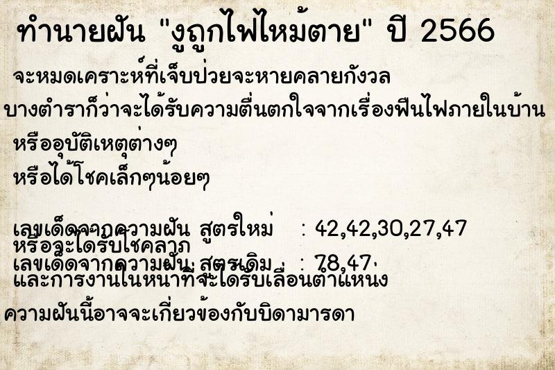 ทำนายฝันงูถูกไฟไหม้ตาย ทำนายฝันทำนายฝันงูถูกไฟไหม้ตาย