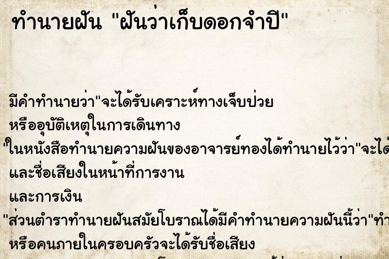 ทำนายฝัน ฝันว่าเก็บดอกจำปี ตำราโบราณ แม่นที่สุดในโลก