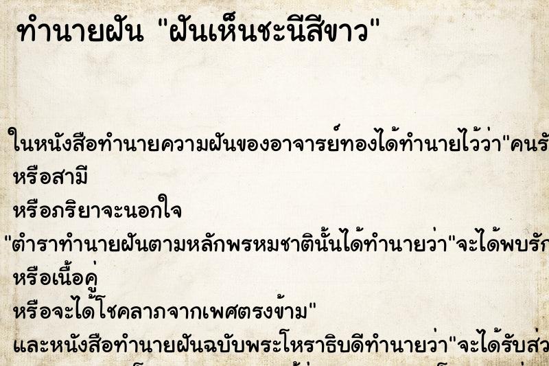 ทำนายฝันฝันเห็นชะนีสีขาว ทำนายฝันทำนายฝันฝันเห็นชะนีสีขาว