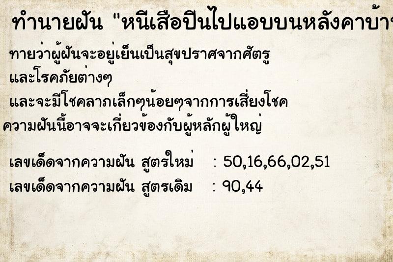 ทำนายฝันหนีเสือปีนไปแอบบนหลังคาบ้าน ทำนายฝันทำนายฝันหนีเสือปีนไปแอบบนหลังคาบ้าน