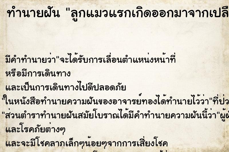 ทำนายฝันทำนายฝันลูกแมวแรกเกิดออกมาจากเปลือก