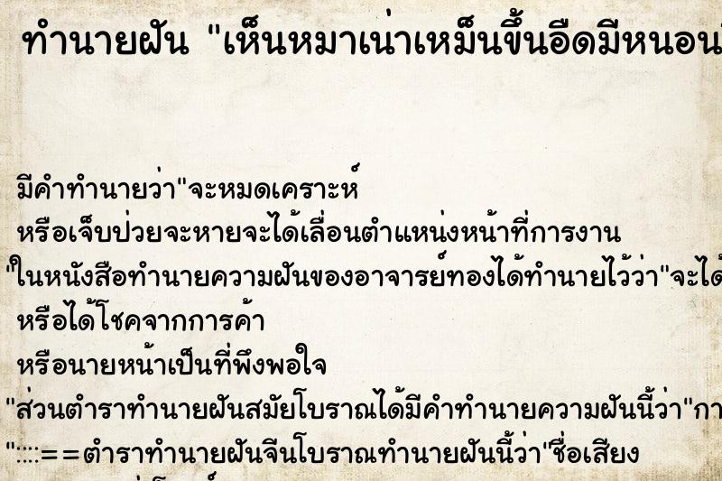 ทำนายฝัน เห็นหมาเน่าเหม็นขึ้นอืดมีหนอนขึ้น ตำราโบราณ แม่นที่สุดในโลก