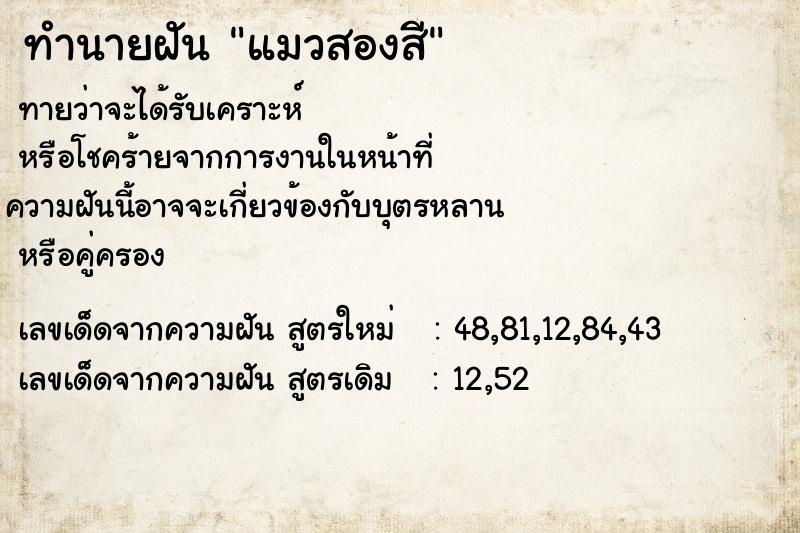ทำนายฝัน แมวสองสี ทำนายฝัน แมวสองสี